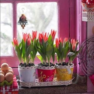 Meet your Posher, Rita